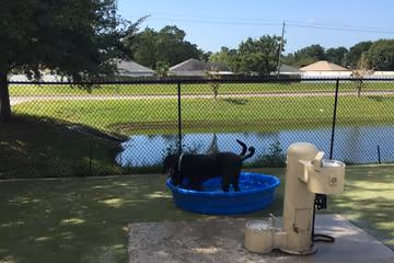 Northwest County Dog Park photo 1